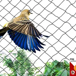 wne jaliwale Pigeon Net Anti Bird Net for balcony Pigeon Net for balcony 8ft X20ft(160 sq.ft) Camping Net-picture-15