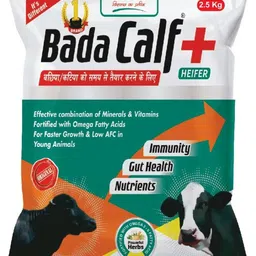 bada calf Calf immunity booster & healthy calf, Strong Calf, Calf to Adult Pet Health Supplements-picture-12