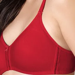 LYRA Pack Of 2 Cotton Rich Mesh Ladder Wire Free Moulded and Seamless Bra image 2