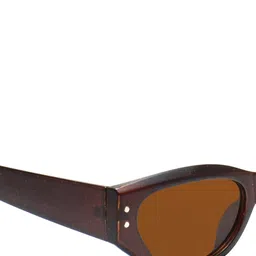 Peter Jones Eyewear Cateye Sunglasses with UV Protected Lens 13049BW image 2