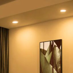 Premium White Aluminium Smart Ceiling Light by Philips-picture-35