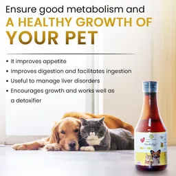 petheeds HeedoHep Liver Tonic combo with Lucious Chicken Flavor for Cat and Dogs Pet Health Supplements image 3