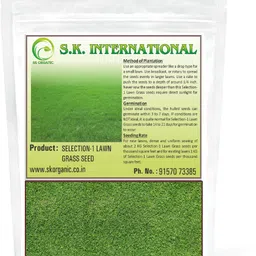 sk organic Selection 1 Lawn (Doob) Grass seeds for Garden and Farmhouse Seed-picture-16