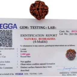 Certified 4 Mukhi Rudraksha Nepal, 100% Original Four Face Rudraksh Bead for Men & Women Wood-image-6