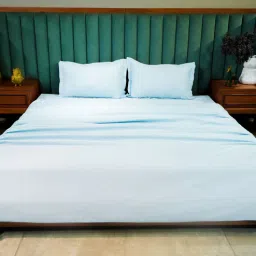 aetherea world Baby Blue 500TC 100% Cotton Solid Bed Sheet Collection by Aethrea World-picture-31