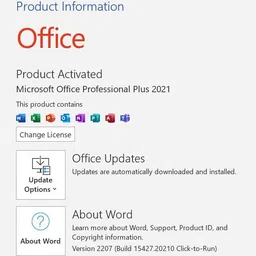 MICROSOFT Windows 11 Pro & Office Professional Plus 2021 (1 User/PC, Lifetime Validity) image 3