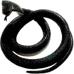 Fake King Cobra Snake Made with Rubber to Play Indoor Outdoor Gag or Magic Shows-image-55