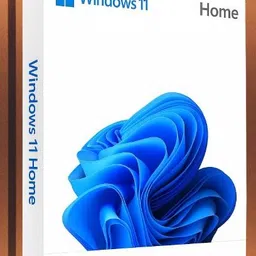 MICROSOFT Windows 11 Home_11 1 User / 1 PC Lifetime Validity Retail License 32 /64 Bit (Flash Drive)-picture-37