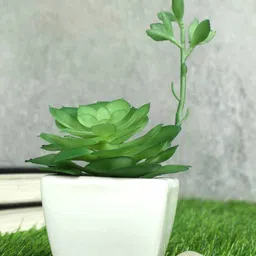 casacraft from pepperfry Green Polyurethane Artificial Bonsai Succulent Plant With White Ceramic Pot image 1