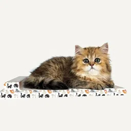 the furr company Cat Scratching Sleeper image 4