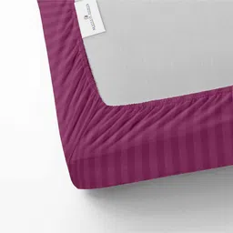 mayfair homes london Pink Solid 210 TC Cotton Fitted Bedsheet with 2 Pillow Covers Satin Stripe 2024 Collection image 5