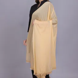 axolotl Net Self Design Beige Women Dupatta-picture-25