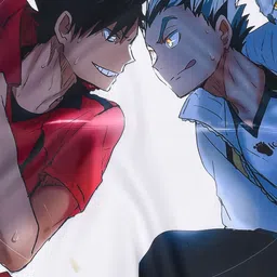 comicsense Haikyuu Anime Flag Anime Themed Satin Fabric Flag Backdrop Wall Hanging Room Decor 27.5 x 35.5 in Tapestry image 3