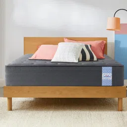 springtek Dreamer Bonnel 6 Inch Spring Mattress In Single Size image 1