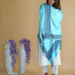 STSHAWLS Acrylic Self Design Women Shawl-picture-25