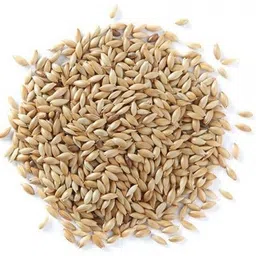 koo retails CANARY SEEDS 450 GRAM FOR BIRD 0.45 kg Dry Young, Adult, Senior Bird Food image 2