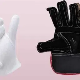 antelope CRICKET KEEPING GLOVES AND INNER WHITE Wicket Keeping Gloves-picture-40