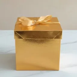 53 arts Solid Party Box image 1