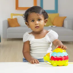 giggles Ice Cream Turtle image 3