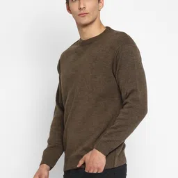 alan jones Men Solid Round Neck Brown Sweater image 4