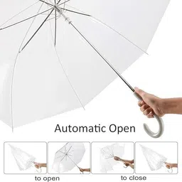 kanala enterprise Transparent Umbrella, Auto Open, Long Handle, Windproof Design Umbrella image 3
