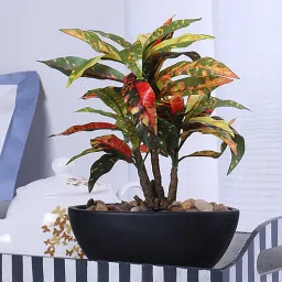 Red Polyester Croton Bonsai in Ceramic Pot by Fourwalls image 1