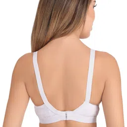 eve's beauty Pack of 2 Women Full Coverage Non Padded Bra image 2