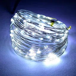 tu casa Flinchum White 10 Meter LED String Light image 1