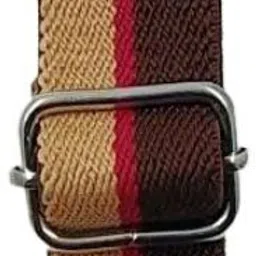 zacharias Boys & Girls Multicolor Fabric Belt image 2
