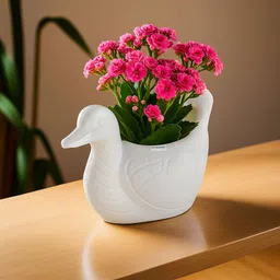 homestic Plastic Duck Shape Small Plant Pot for Home Decor and Office Desk | White Plastic Vase-picture-24