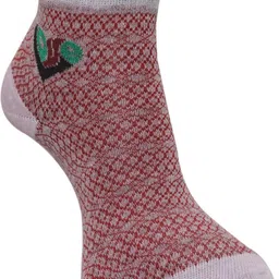 dollar Women Printed Ankle Length image 4