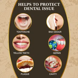 vithoba Ayurvedic Dant Manjan For White Strong Teeth & Refreshing Breath 200 Gram Pack 2 image 3