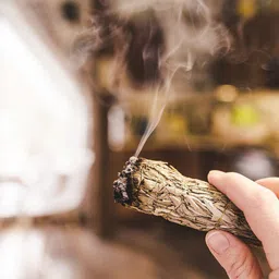 essencioshop Indian white Sage 6 -7 inches 4 bundles ( 25 gram each) sage image 5