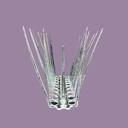 chitradheyhomedecorchd Bird Spike-picture-11