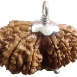 divine souvenirs Genuine Shiv Parvati Rudraksha 100% Original for Men & Women Wood-picture-22