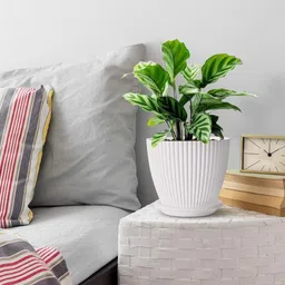 tfh Microfibre, Plastic Vase image 3