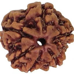 beautum ORIGINAL 6 MUKHI NATURAL NEPALI RUDRAKSHA FOR MEN AND WOMEN Wood Pendant-picture-29