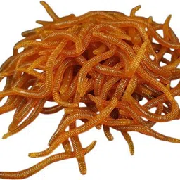 rajry Soft Bait Silicone Fishing Lure-picture-42