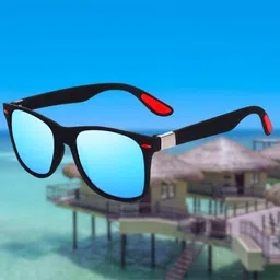 Polarized Wayfarer Sunglasses (52)-image-28