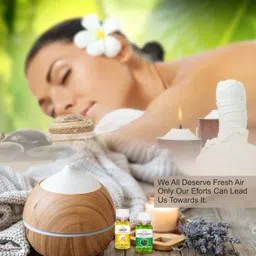 zoohi Fragrance Cooler perfume Scent, 120 ML (12 in 1 ), Multi-Purpose Water Soluble Aroma Oil image 3