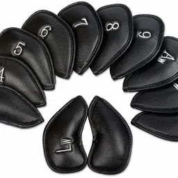 wildcard india Golf Disc image 2