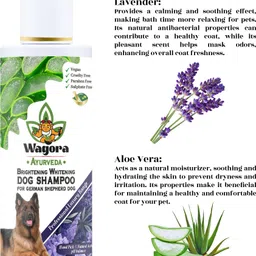 wagora ayurveda Brightening Whitening German Shepherd Dog Shampoo Whitening and Color Enhancing, Conditioning Aloe Vera, Rosemary & Lavender, Natural Fragrance Dog Shampoo image 3