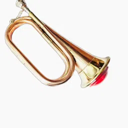 raghav associates Alto Bugle image 3