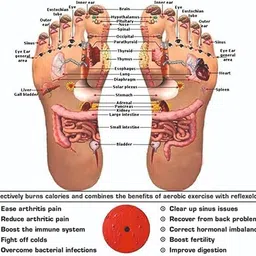 gentle e kart Tummy Twister Ab Exerciser – Fat Reduction Fitness Equipment for Men & Women Ab Exerciser image 5