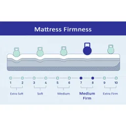 springtek Ortho Pocket Zero Partner Disturbance Zoned Support 6 Inch Spring Mattress In Single Size image 5