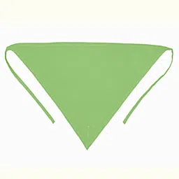 ambiaim international Cotton Nappies for new born baby 0-6 months, 12 Langot Washable and Reusable image 4