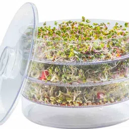 chhoti tokri Plastic Sprout Maker - 500 ml-picture-32