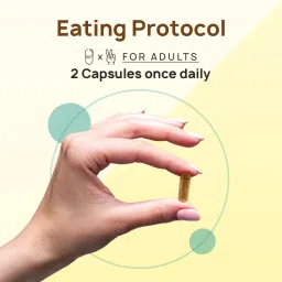 The Co Being BURN FIT Plant-Based Fat Burner image 4