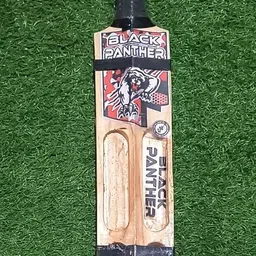Popular willow Poplar Willow Cricket Bat For 15+ Yrs-image-74