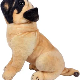 jaibalajitrading Pug Stuffed Toy - 28 cm image 2
